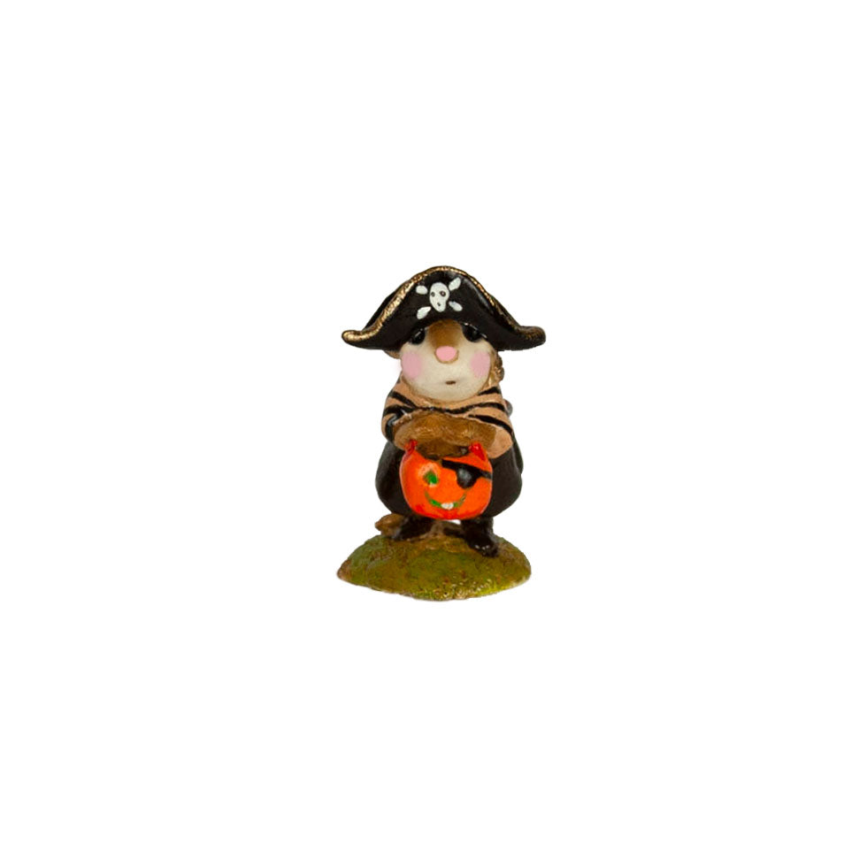 Mini Little Pirate Kidd