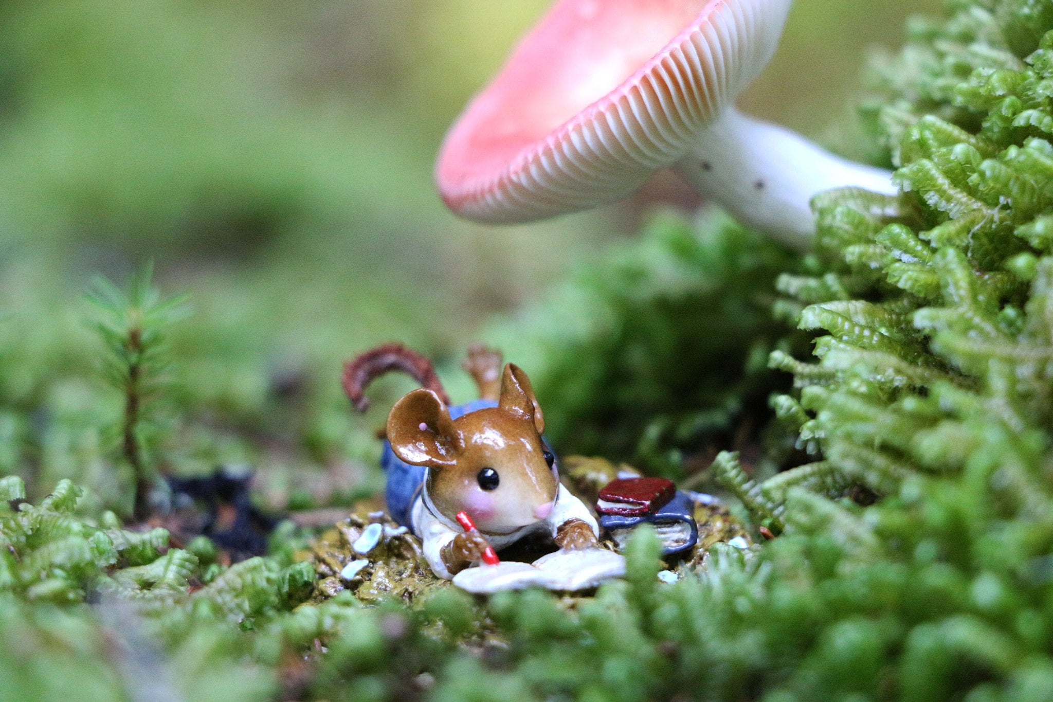 Join The Official Wee Forest Folk Facebook Group!