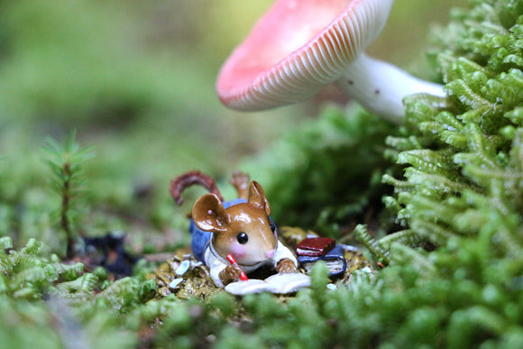 Join The Official Wee Forest Folk Facebook Group!