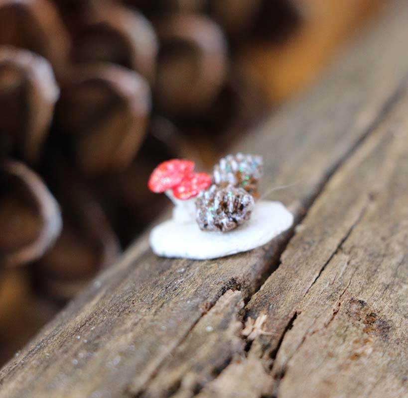 Giving Tuesday and Special Offer