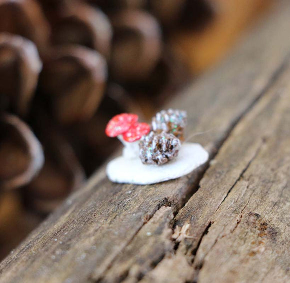 Giving Tuesday and Special Offer