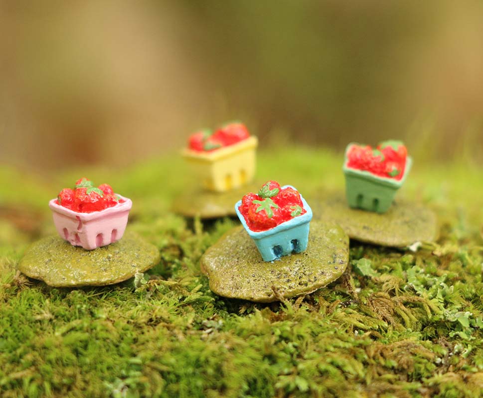 FREE Berry Basket with order!