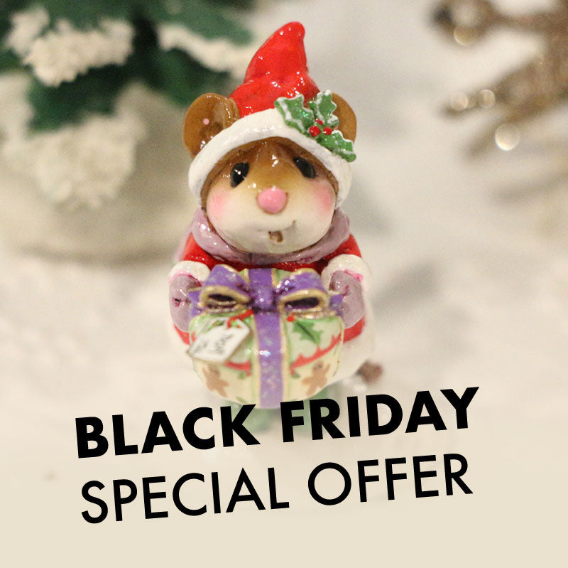 Black Friday through Cyber Monday Special Offer!