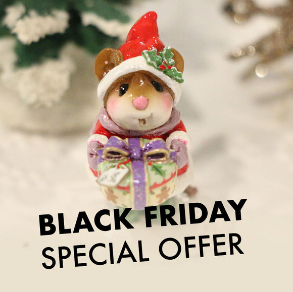 Black Friday through Cyber Monday Special Offer!