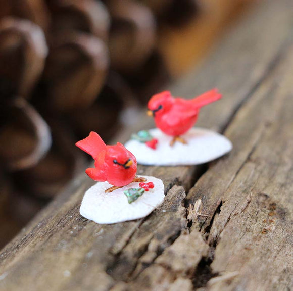 Black Friday - Cyber Monday Special Offer