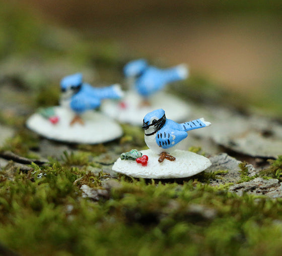 Black Friday Weekend Special Offer for 2025