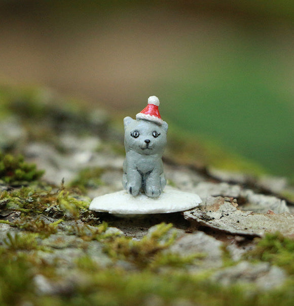 Cyber Monday Special Offer