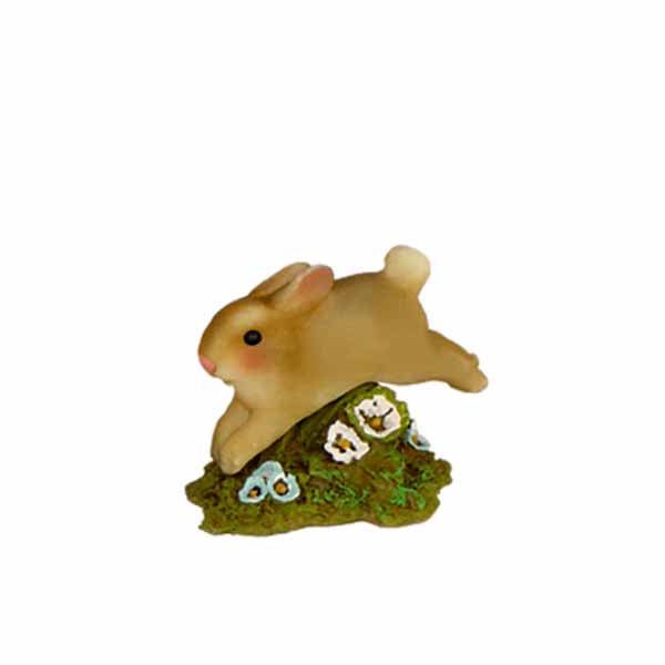 Jumping Bunny