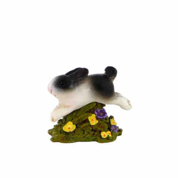Jumping Bunny