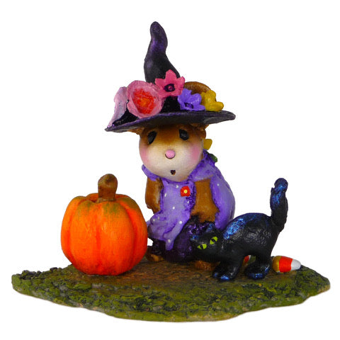 Witchy Hat…Scary Cat