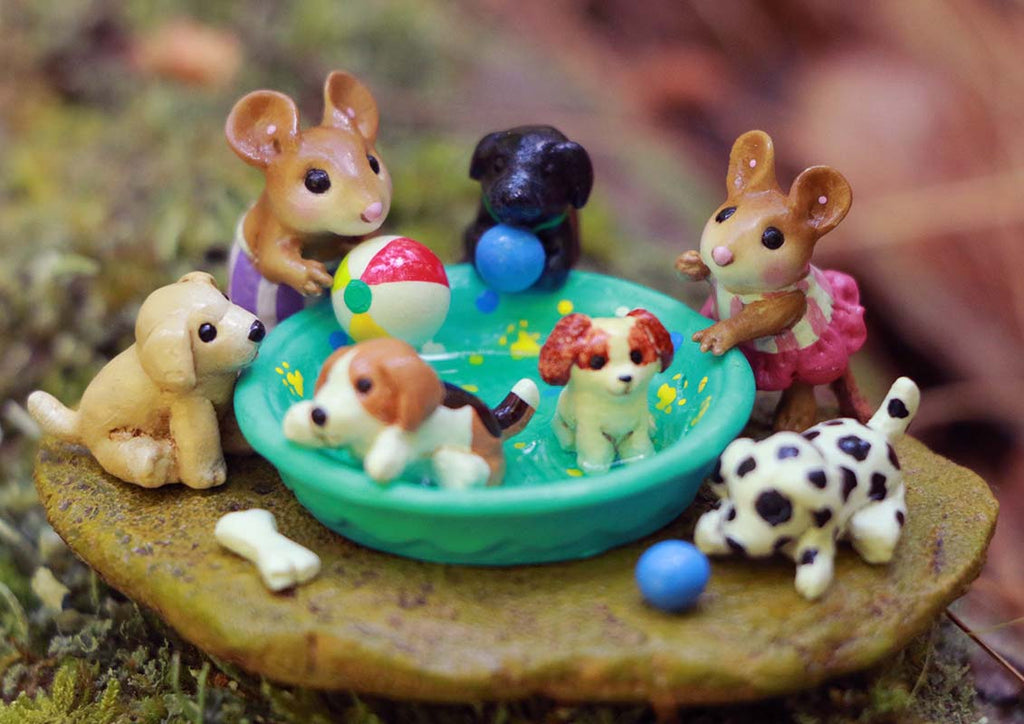 Puppy Pool Party!