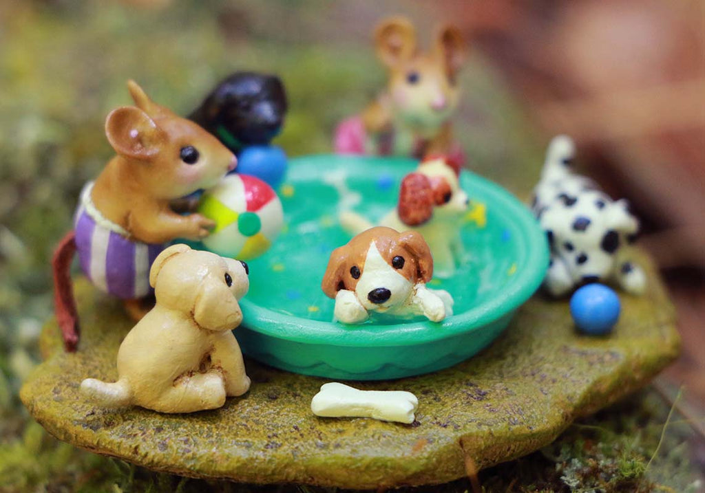 Puppy Pool Party!
