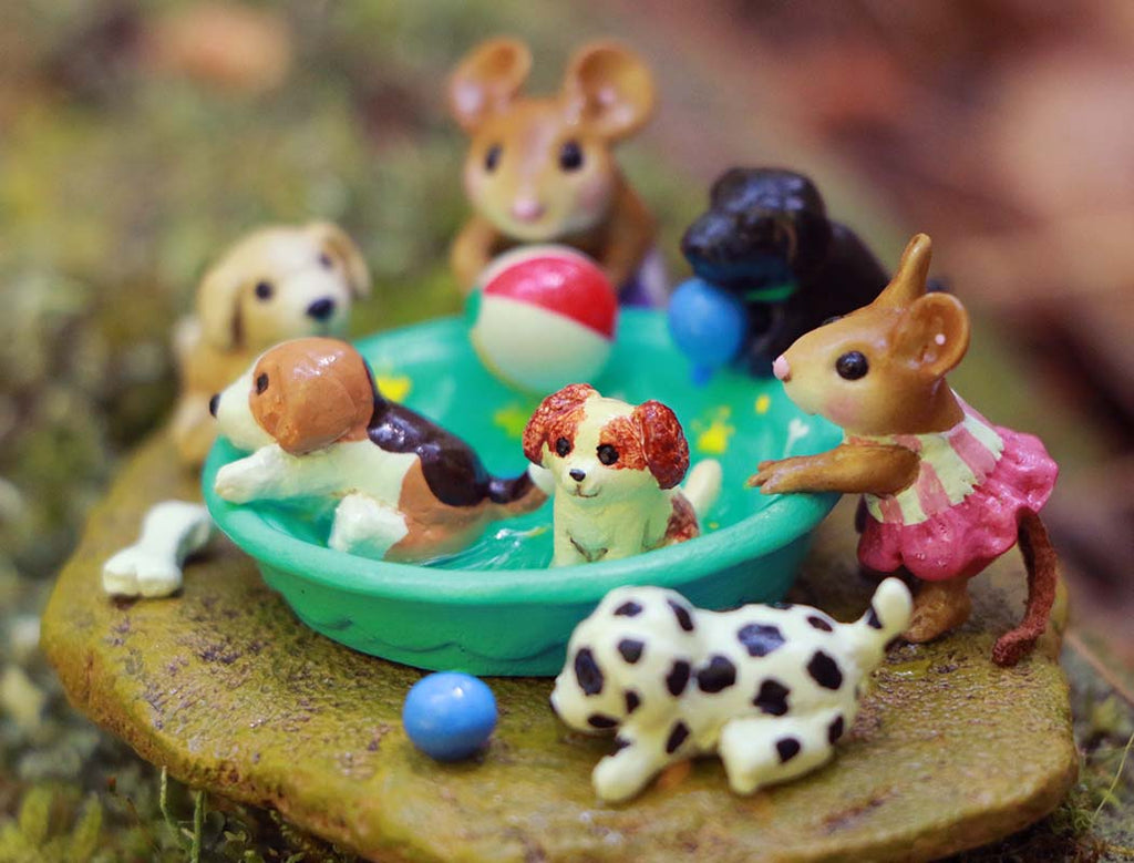 Puppy Pool Party!
