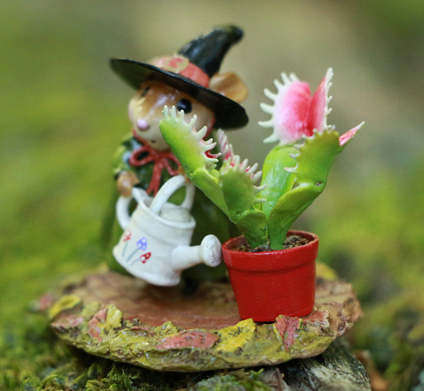 Venus's Green Thumb