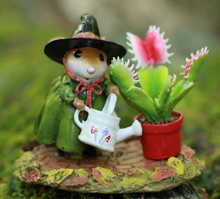 Venus's Green Thumb