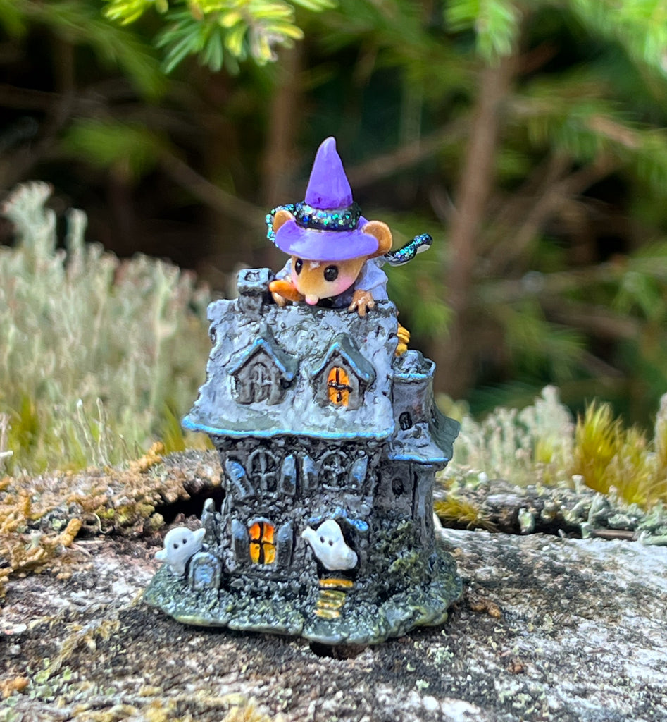 Wee Witchy's Haunt