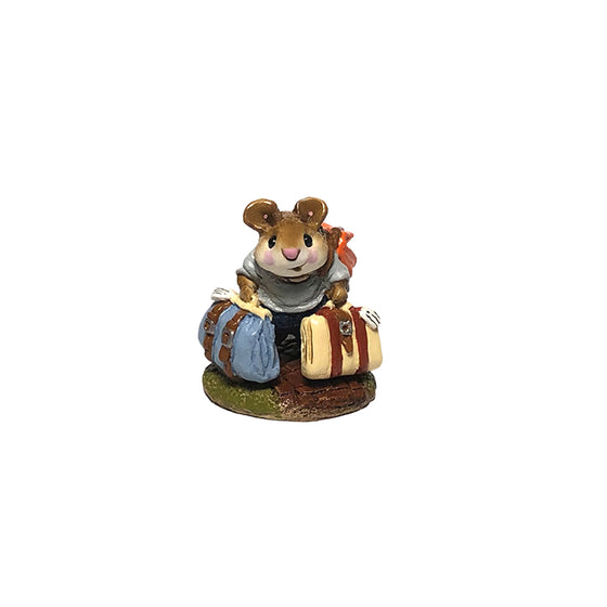 Mini Traveling Mouse