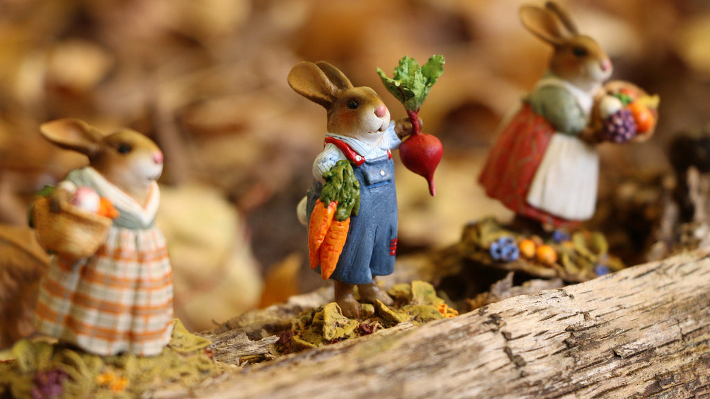 Mr. Harvest Bunny