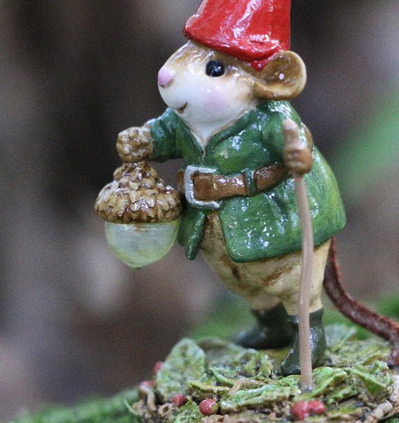 Roaming Gnome