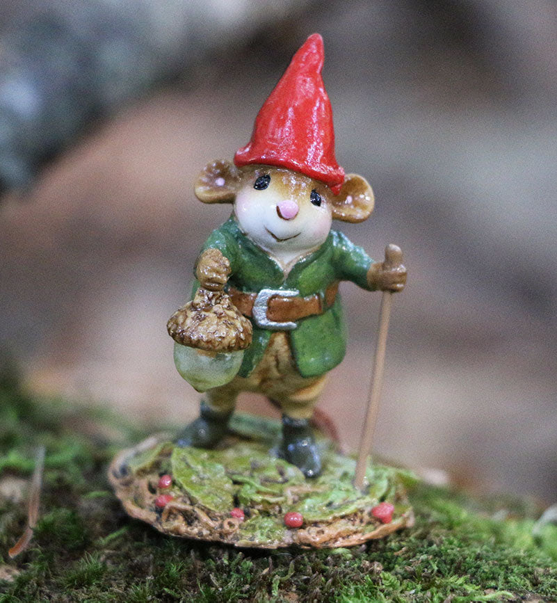 Roaming Gnome