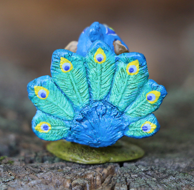 Proud Peacock