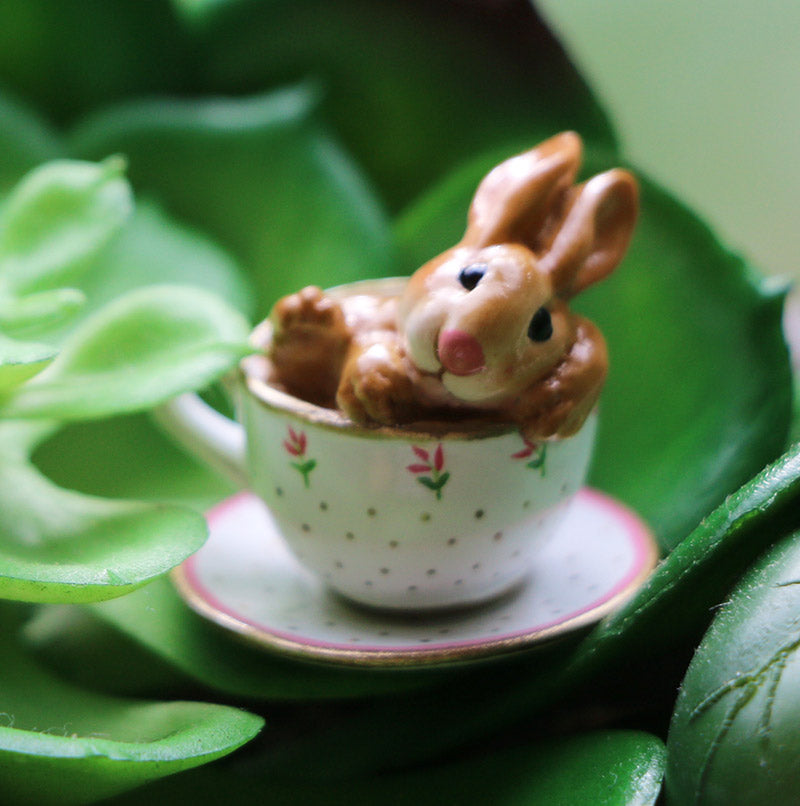 Cuppa Cottontail